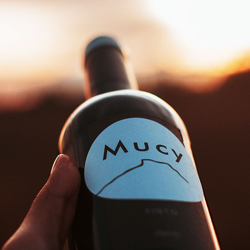bodegas-mucy4