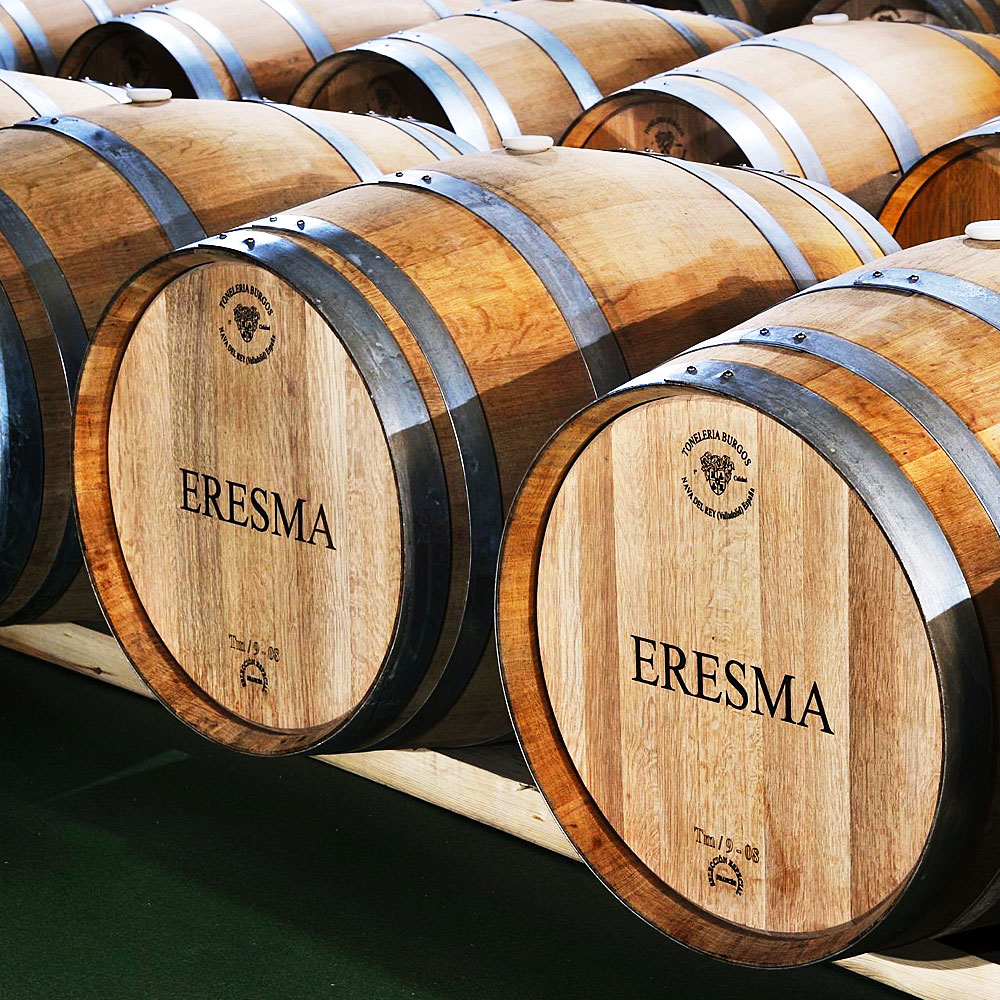 modelo-proyecto-Rueda1