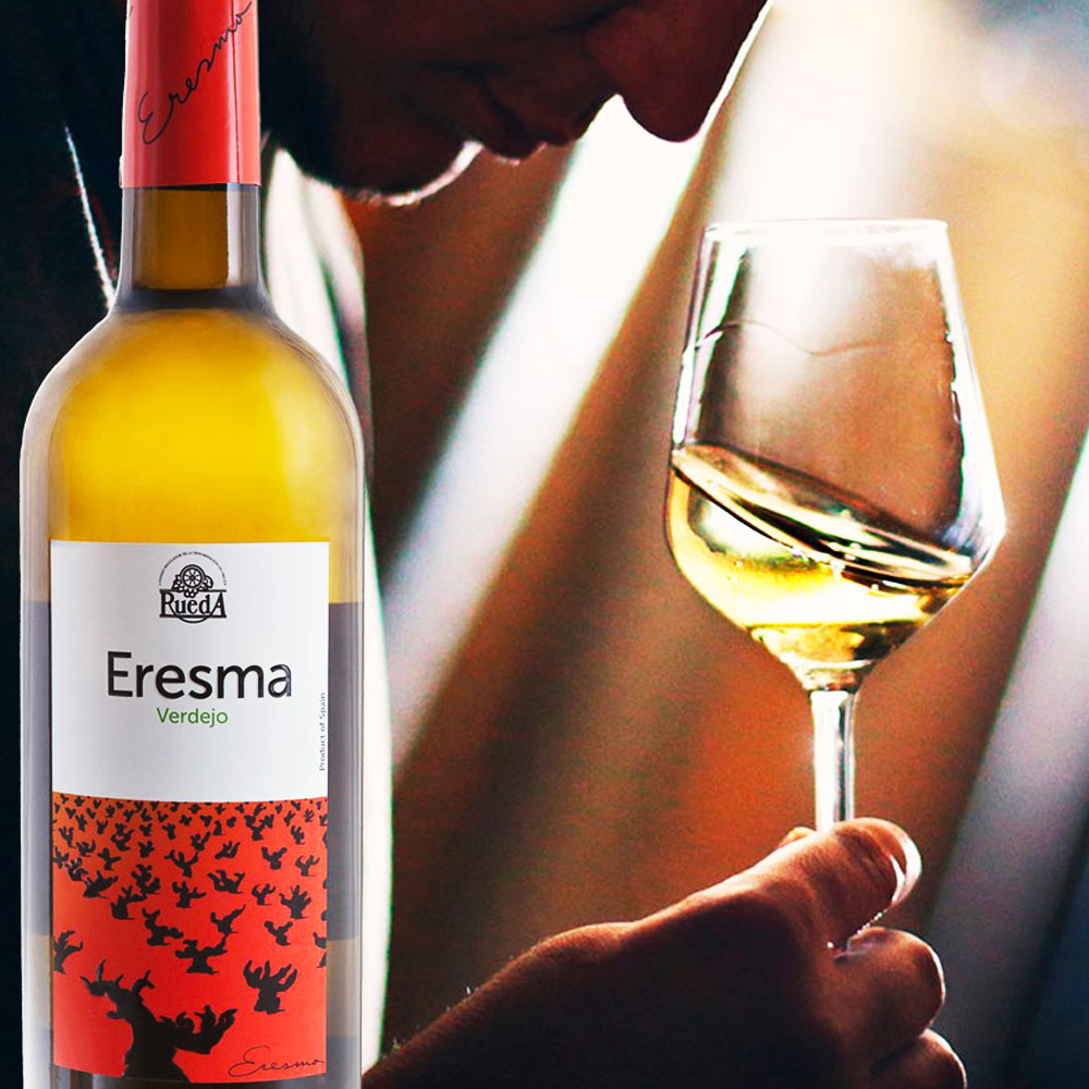 modelo-proyecto-rueda2